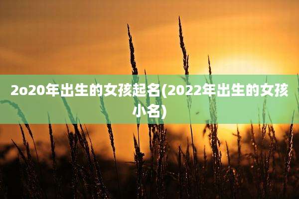 2o20年出生的女孩起名(2022年出生的女孩小名)