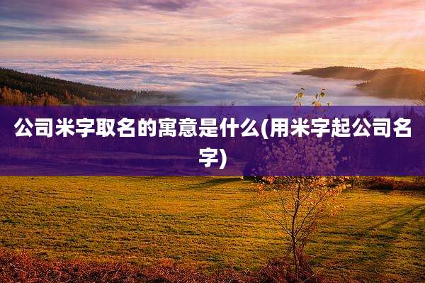 公司米字取名的寓意是什么(用米字起公司名字)
