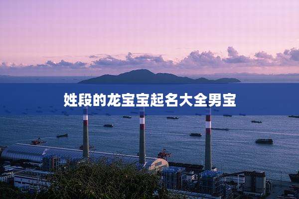 姓段的龙宝宝起名大全男宝