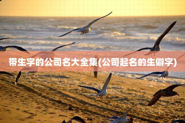 带生字的公司名大全集(公司起名的生僻字)