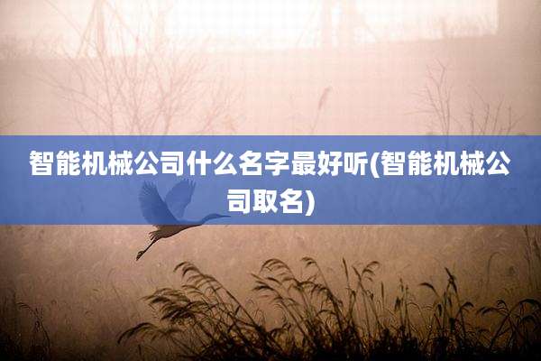 智能机械公司什么名字最好听(智能机械公司取名)