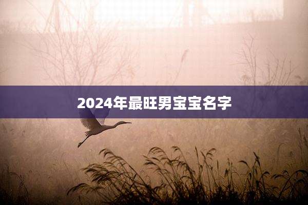 2024年最旺男宝宝名字