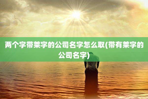 两个字带莱字的公司名字怎么取(带有莱字的公司名字)