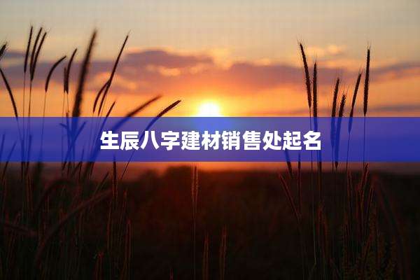 生辰八字建材销售处起名