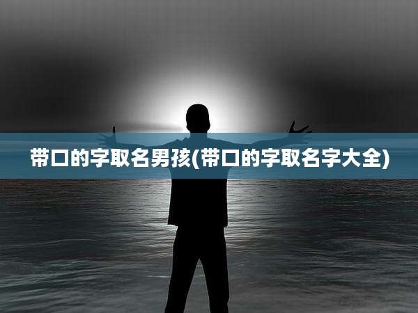 带口的字取名男孩(带口的字取名字大全)