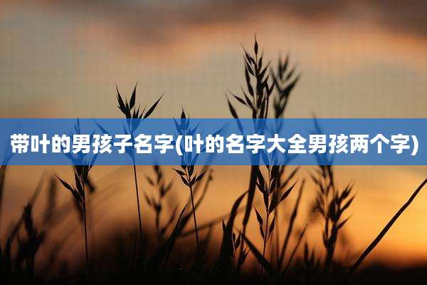 带叶的男孩子名字(叶的名字大全男孩两个字)