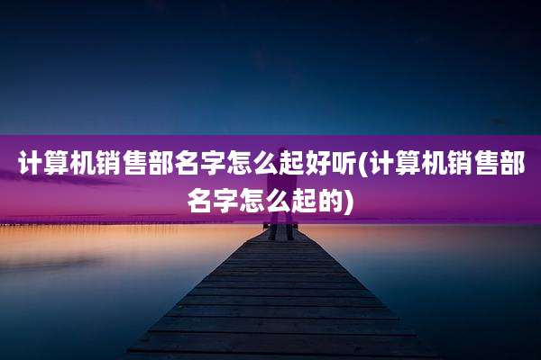 计算机销售部名字怎么起好听(计算机销售部名字怎么起的)