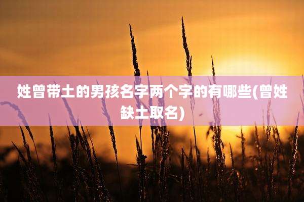 姓曾带土的男孩名字两个字的有哪些(曾姓缺土取名)