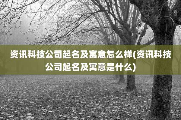 资讯科技公司起名及寓意怎么样(资讯科技公司起名及寓意是什么)