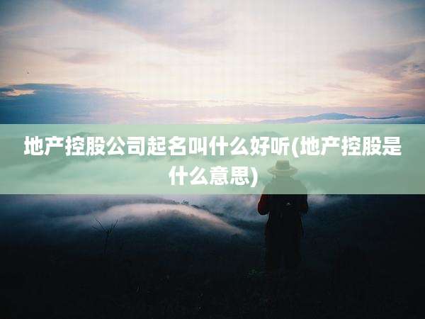 地产控股公司起名叫什么好听(地产控股是什么意思)