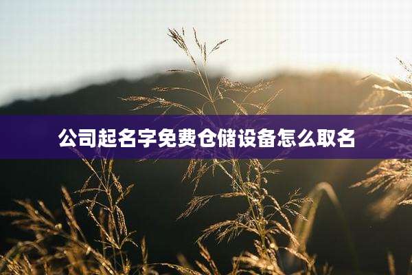 公司起名字免费仓储设备怎么取名