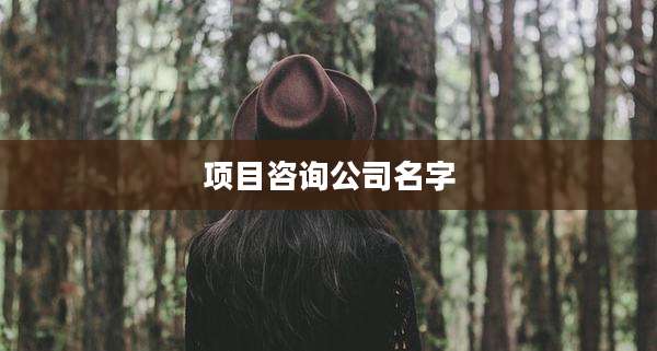 项目咨询公司名字