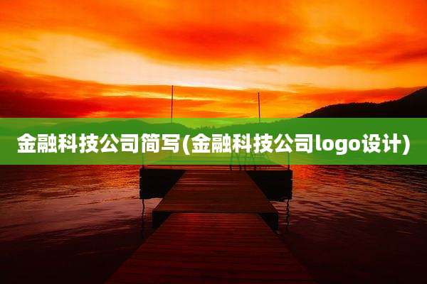 金融科技公司简写(金融科技公司logo设计)
