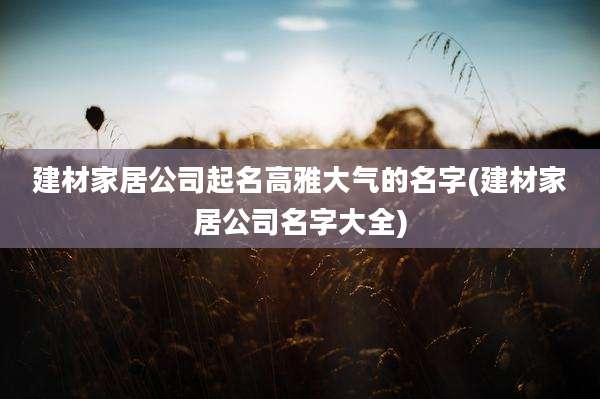 建材家居公司起名高雅大气的名字(建材家居公司名字大全)