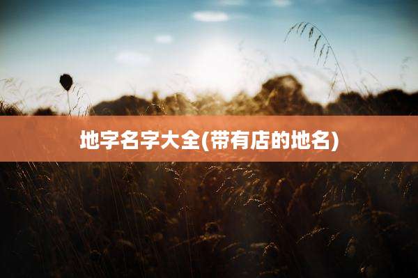 地字名字大全(带有店的地名)