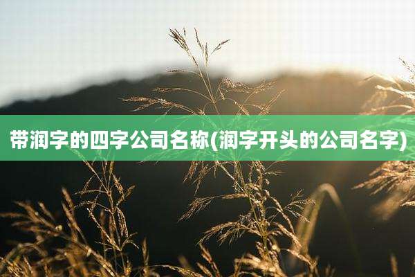 带润字的四字公司名称(润字开头的公司名字)