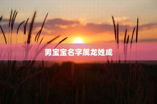 男宝宝名字属龙姓成