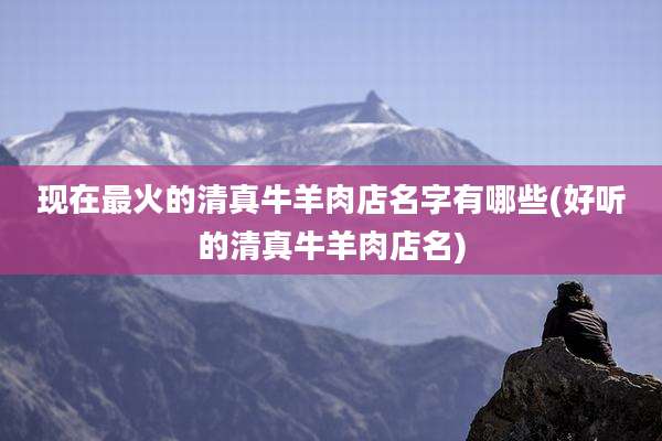 现在最火的清真牛羊肉店名字有哪些(好听的清真牛羊肉店名)