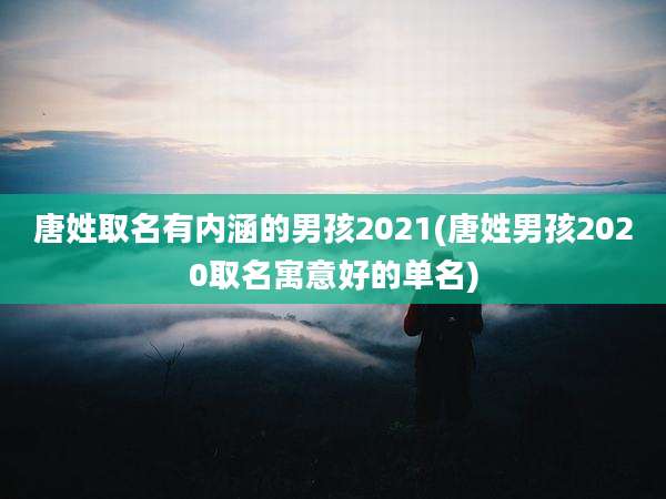 唐姓取名有内涵的男孩2021(唐姓男孩2020取名寓意好的单名)
