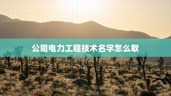 公司电力工程技术名字怎么取