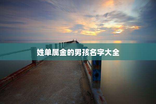 姓单属金的男孩名字大全