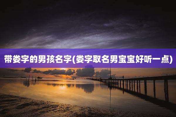 带娄字的男孩名字(娄字取名男宝宝好听一点)
