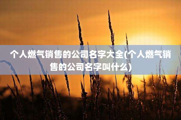 个人燃气销售的公司名字大全(个人燃气销售的公司名字叫什么)