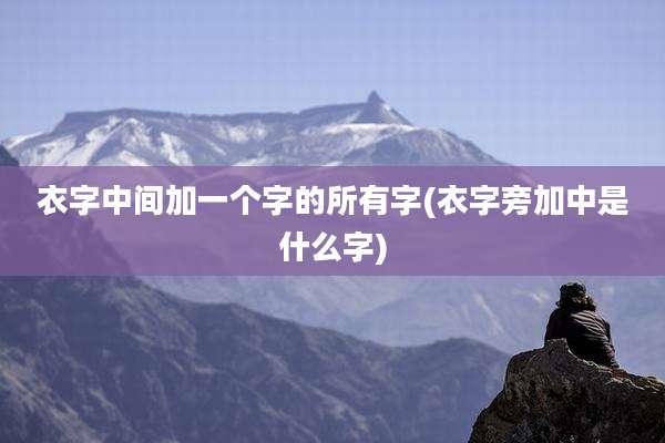 衣字中间加一个字的所有字(衣字旁加中是什么字)