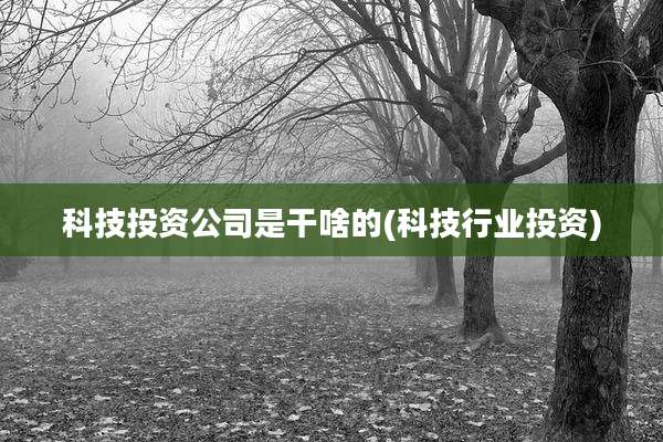 科技投资公司是干啥的(科技行业投资)