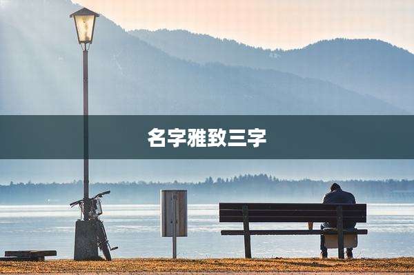 名字雅致三字