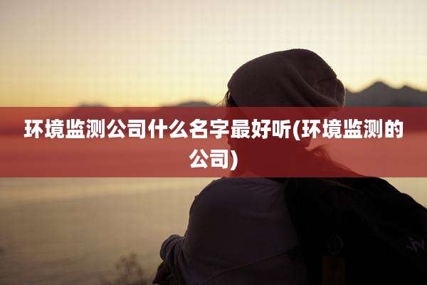 环境监测公司什么名字最好听(环境监测的公司)
