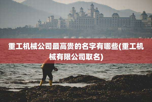 重工机械公司最高贵的名字有哪些(重工机械有限公司取名)