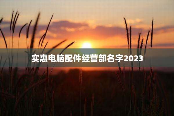 实惠电脑配件经营部名字2023