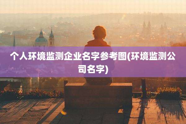 个人环境监测企业名字参考图(环境监测公司名字)