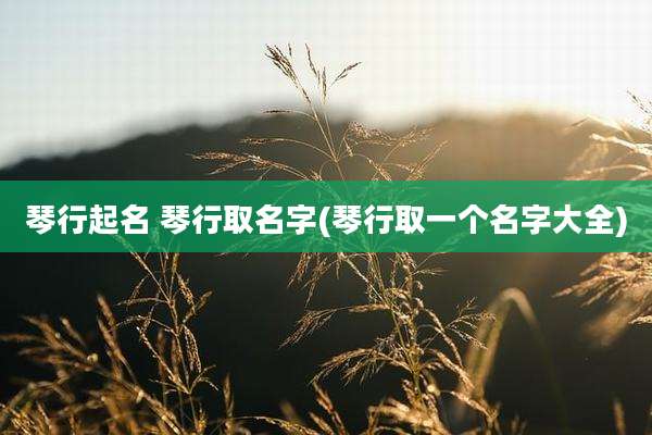 琴行起名 琴行取名字(琴行取一个名字大全)