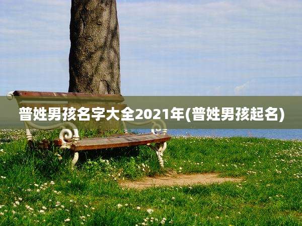 普姓男孩名字大全2021年(普姓男孩起名)