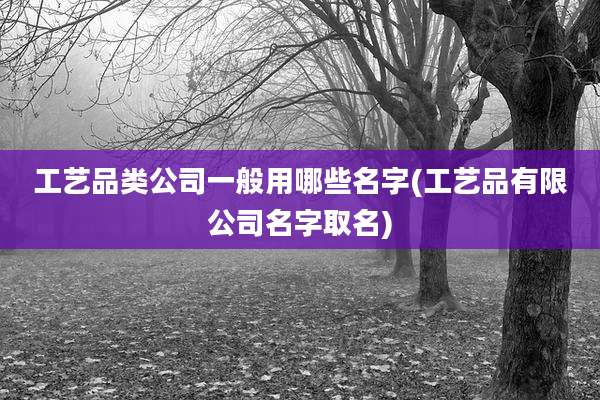 工艺品类公司一般用哪些名字(工艺品有限公司名字取名)