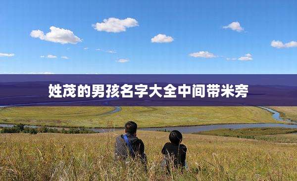 姓茂的男孩名字大全中间带米旁