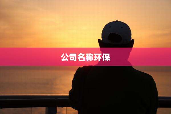 公司名称环保
