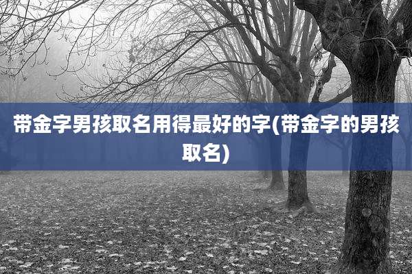 带金字男孩取名用得最好的字(带金字的男孩取名)