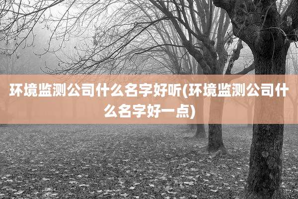 环境监测公司什么名字好听(环境监测公司什么名字好一点)