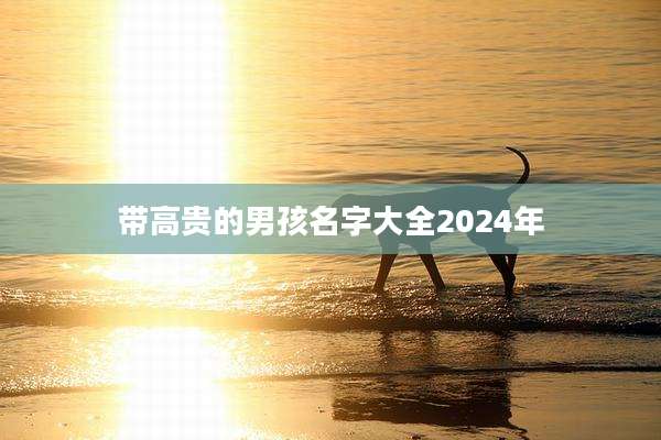 带高贵的男孩名字大全2024年