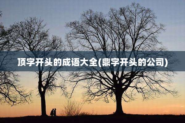 顶字开头的成语大全(鼎字开头的公司)