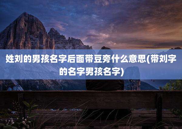 姓刘的男孩名字后面带豆旁什么意思(带刘字的名字男孩名字)