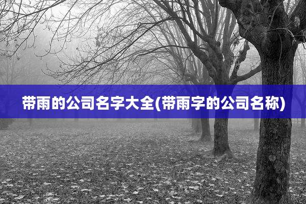 带雨的公司名字大全(带雨字的公司名称)