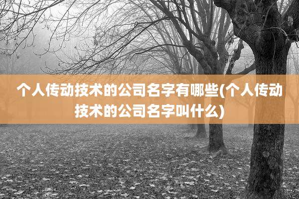个人传动技术的公司名字有哪些(个人传动技术的公司名字叫什么)