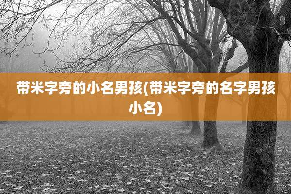 带米字旁的小名男孩(带米字旁的名字男孩小名)