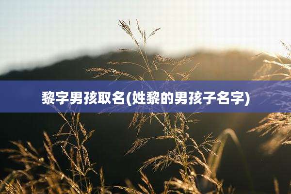 黎字男孩取名(姓黎的男孩子名字)