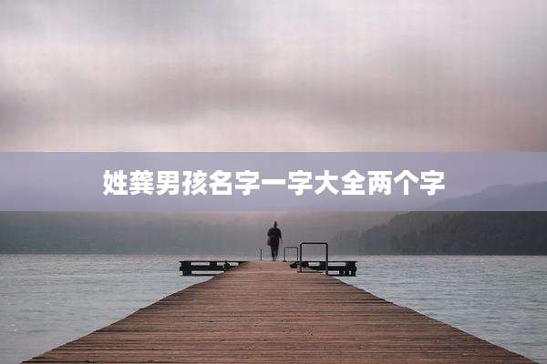 姓龚男孩名字一字大全两个字