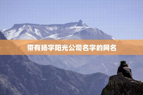 带有扬字阳光公司名字的网名